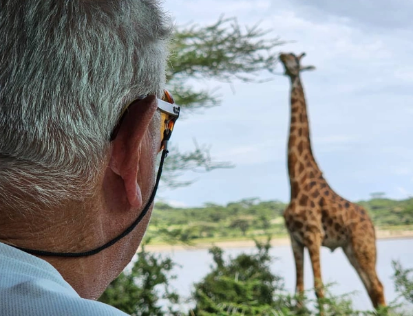 Budget Safari