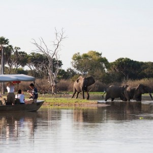 Safari from Zanzibar - Selous/Nyerere National Park - Three Days