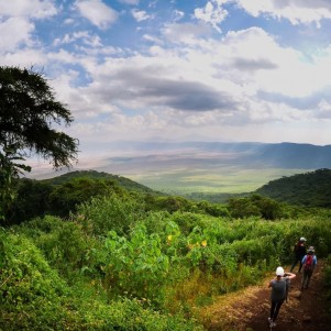 Safari from Zanzibar - Kilimanjaro - Lake Manyara - Ngorongoro - Three Days