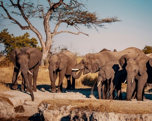 Caprivi/Zambezi Strip