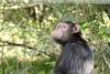 Ol Pejeta Conservancy
