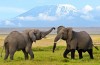 Amboseli National Park
