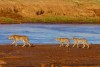 Samburu National Reserve