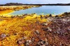 Inside the explosion crater of Dallol volcano, Danakil Depression