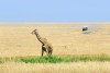 Masai Mara
