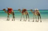 MOMBASA KENYA