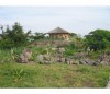 Kia Lodge -safari to africa accommodation