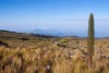 Mount Elgon