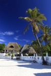 Red Monkey Lodge 