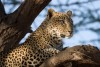 Samburu National Reserve