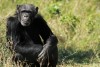 Ol Pejeta