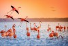 Lake Nakuru National Park