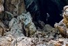 Brown stones upstairs, Chinhoyi Caves, Zimbabwe