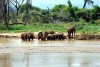 Samburu National Reserve
