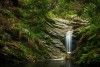 Forest waterfall, Garden Route