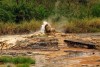 Sempaya Hot Spring at Semuliki National Park, Uganda