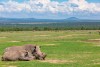 Ol Pejeta Conservancy