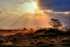 Kruger National Park
