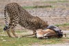 Amboseli National Park