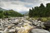 River in Bwindi Impenetrable National Park, Uganda