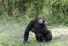 Ol Pejeta Conservancy