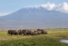 Amboseli National Park