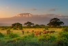 Amboseli National Park