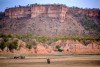 Elephants in Gonarezhou National Park