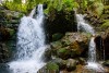 Forest waterfalls in Bwindi Impenetrable National Park, Uganda