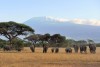 Amboseli National Park