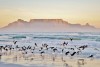 Landscape with beach and Table Mountain at sunrise