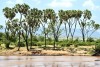 Samburu National Park in the African savanna