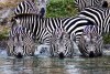 Tarangire National Park