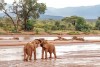 Samburu National Reserve