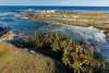 Scenic coastline with flowering aloe, Garden Route National Park