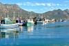 Hout Bay Harbour, Cape Peninsula