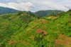 Landscape of Bwindi Impenetrable Forest National Park