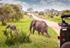 Tarangire National Park