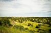 Tarangire National Park