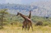Tarangire National Park