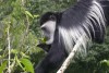 Mkomazi National Park