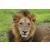 Ruaha and Mikumi by Road - 5 days tour