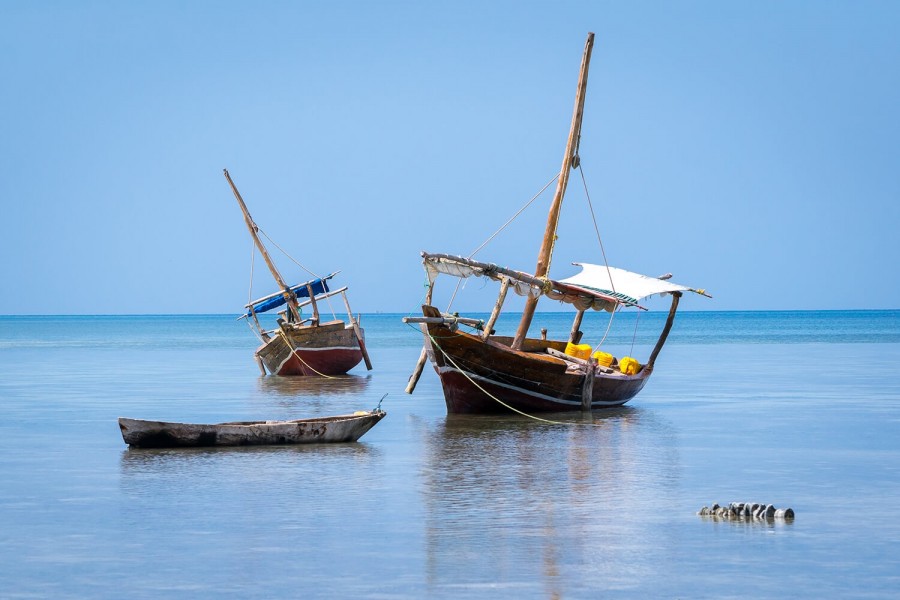 Zanzibar: Modri safari-safari s čolnom