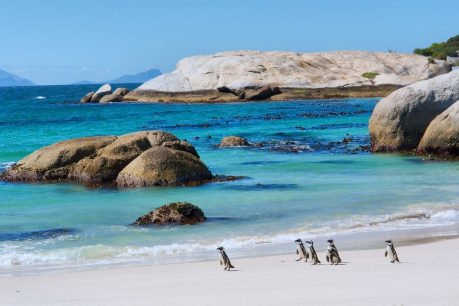 Cape of Good Hope
