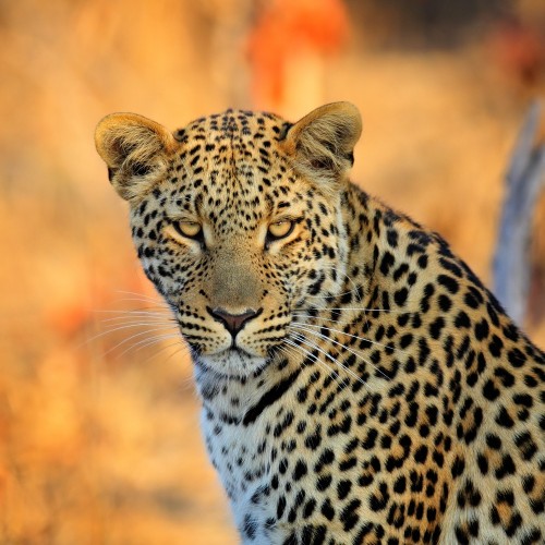 Hwange National Park