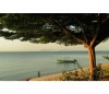 Speke Bay Lodge