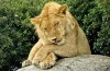 Serengeti National Park
