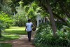 Plantation Lodge
