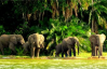 Rubondo Island National Park