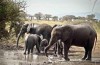 Tarangire National Park